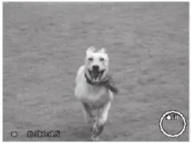 MEDION LIFE P44016 (MD 86535) - Videoclips opnemen - 1