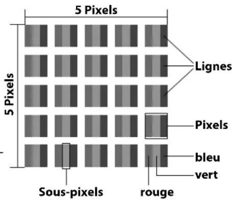MEDION Akoya P55425 (MD 20435) - Pixels défectueux des écrans - 1