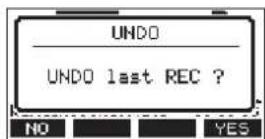 TASCAM Model 24 - Undoing the previous operation - 2