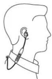 SENNHEISER CX 150BT - Insérer les écouteurs dans les oreilles - 1