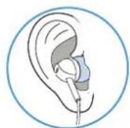 SENNHEISER CX 150BT - Insérer les écouteurs dans les oreilles - 3