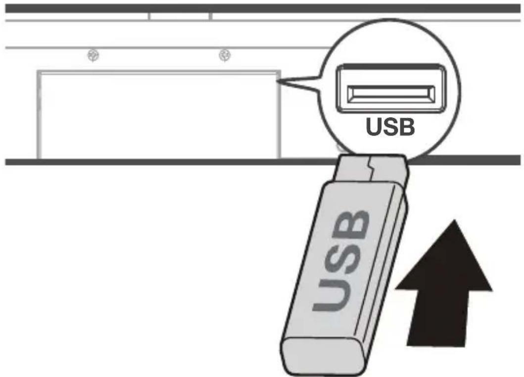 TCL TS7010 - Utiliser le câble USB ou l'appareil pour la lecture de musique - 1