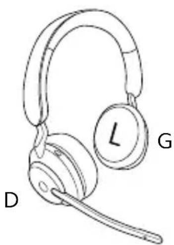 JABRA Evolve2 65 - Variante sté reproduction - 1