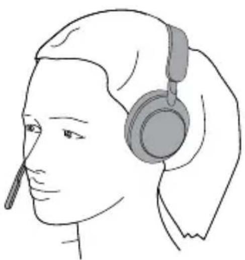 JABRA Evolve2 65 - Variante sté reproduction - 2