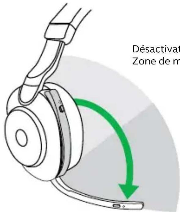 Désactivat Zone de m