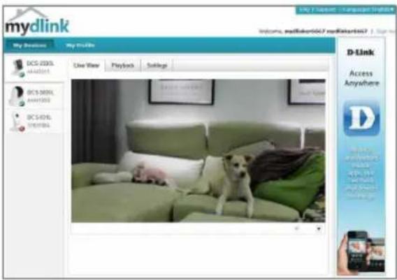 D-LINK DCS2330L - lépés: - 1