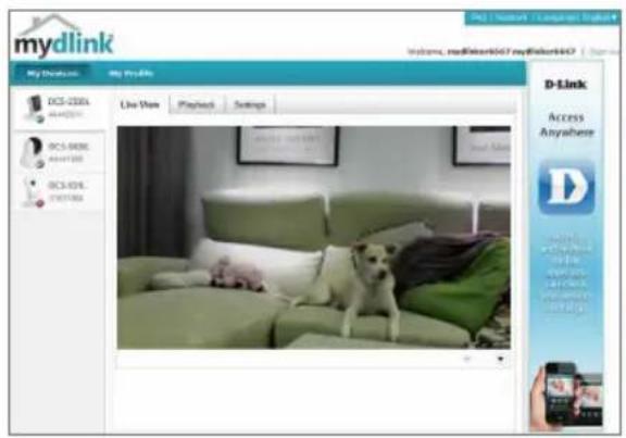 D-LINK DCS2330L - Pasul 2: - 1