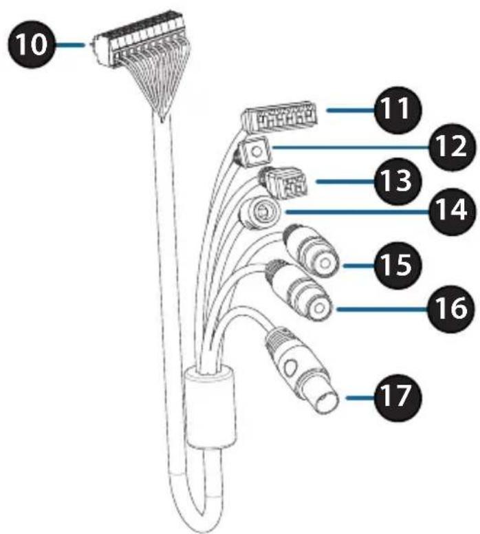 D-LINK DCS7517 - Optional Cable Harness (not included) - 1