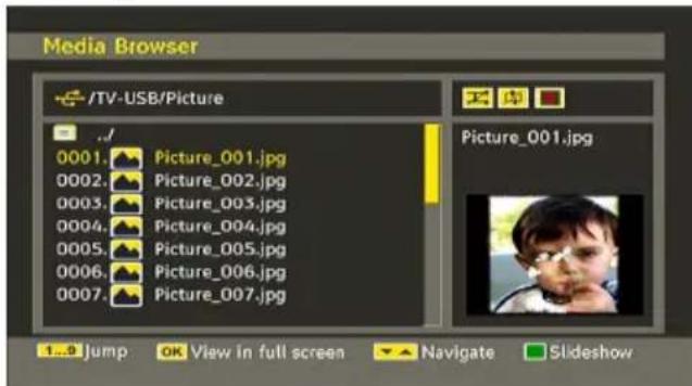 TELEFUNKEN TFX1646D857U - Viewing.JPG Files - 1