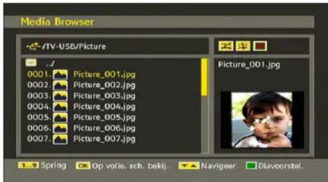 TELEFUNKEN TFX1646D857U - JPG-bestanden weergeven - 1