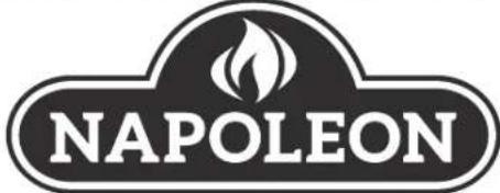 Napoleon Pro Charcoal Leg - GRILL AU CHARBON DE BOIS POUR L'EXTÉRIEUR - 1