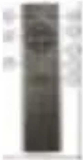 ACER C250i - Despre telecomanda dumneavoastră - 1