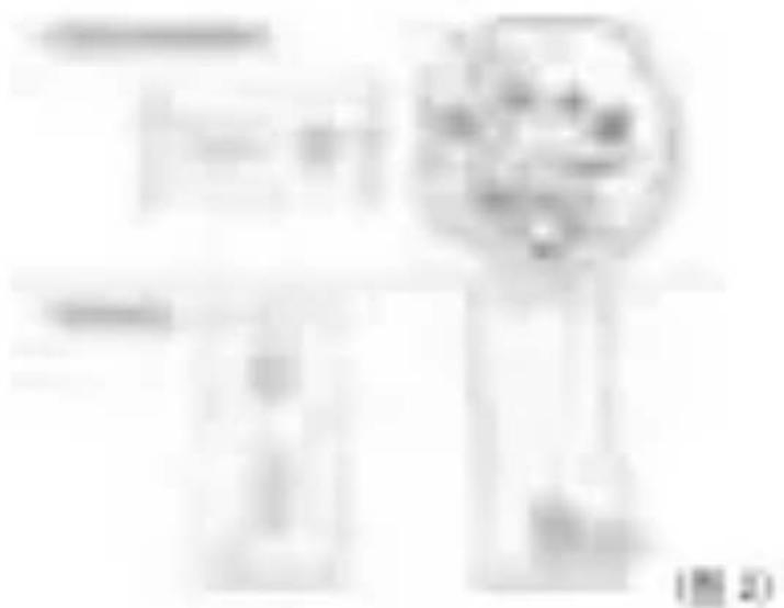 ACER C250i - EZCast - 2