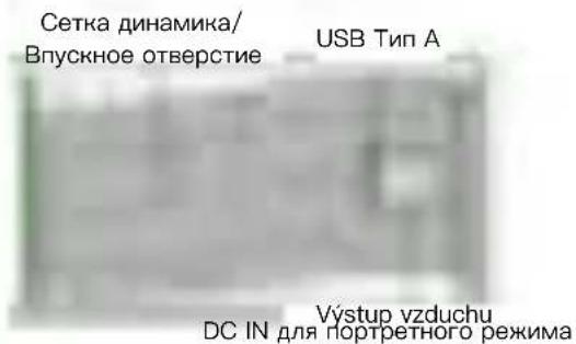 ACER C250i - Меры предосторожности - 2