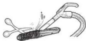 SAMSUNG Powerbot R7065 - Limpieza del cepillo y de la herramienta de activacion automatica - 3