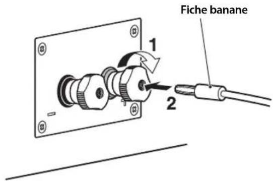 YAMAHA NS5000 - ■Utilisation d'une fiche banane - 1
