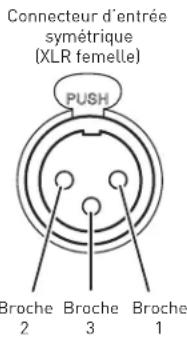 Connecteur d'entrée symétrique (XLR femelle) PUSH Broche 2 Broche 3 Broche 1