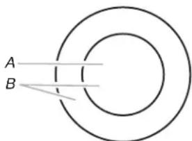 WHIRLPOOL WCE77US6HS - Elemento doble - 1