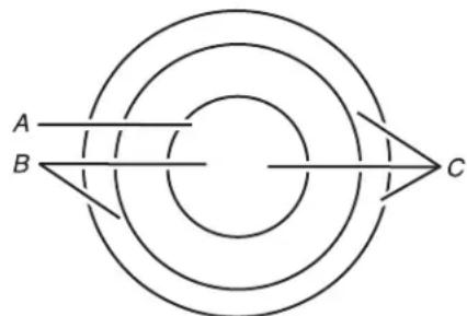 WHIRLPOOL WCE77US6HS - Dual/Triple Element - 1