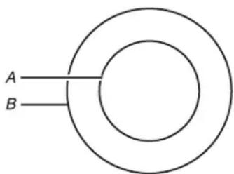 WHIRLPOOL WCE77US6HS - Dual/Triple Element - 2