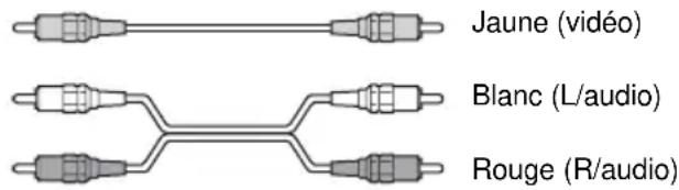 SONY AVDC700ES - Cordons audio/vidéo (non fournis) - 1
