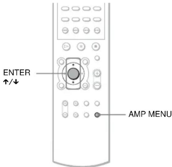 SONY AVDC700ES - Selecting the Decode Priority - 4