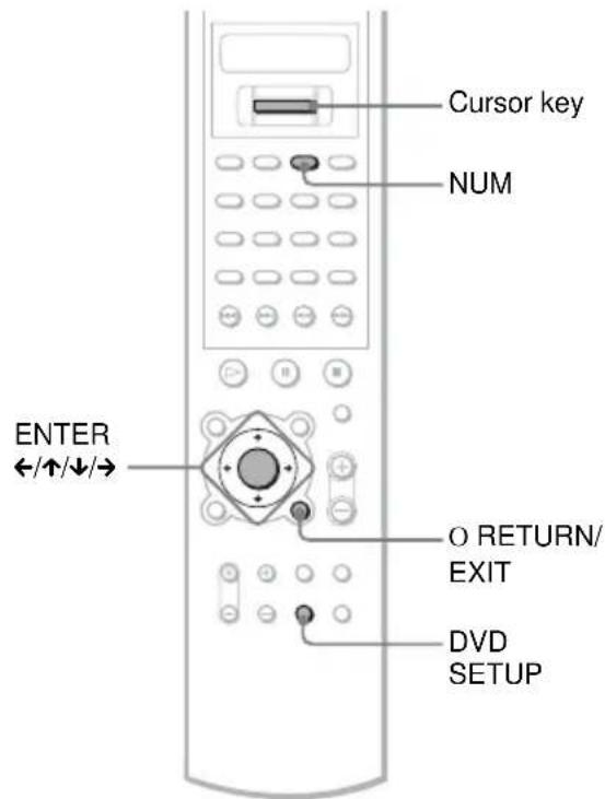 SONY AVDC700ES - How to use the Setup Display - 1