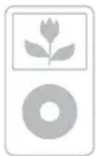 SONY DAVHDX277WC - Compatible iPod models - 2