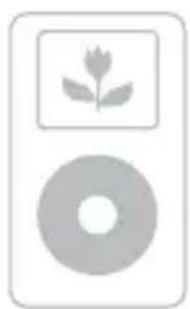 SONY DAVHDX277WC - Compatible iPod models - 4