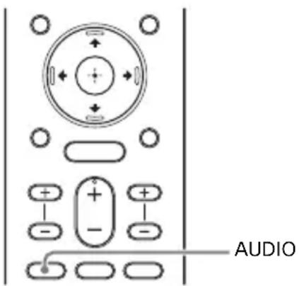 SONY HTZ9F - Enjoying Multiplex Broadcast Sound (AUDIO) - 1