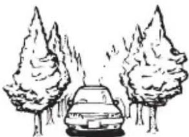 PIONEER AVICW8500NEX - Lors de la conduite dans une ford dense ou sous de grands arbres - 1
