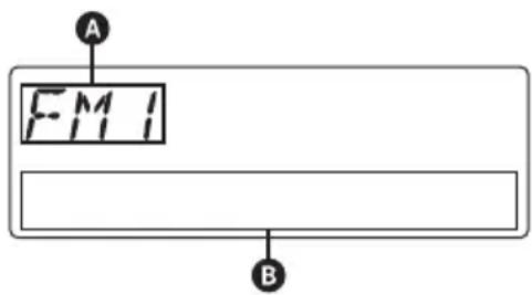SONY DSXMS60 - Display items - 1