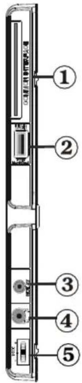 MANHATTAN MT19LED12DVX - Viewing the Connections - Side Connectors - 1