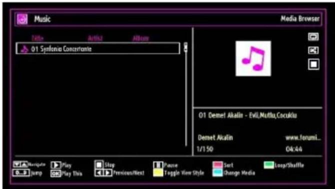 MANHATTAN MT19LED12DVX - Playing Music via USB - 1