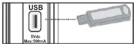 MANHATTAN MT19LED12DVX - AFFICHAGE LATÉRAL MEMOIRE USB - 1