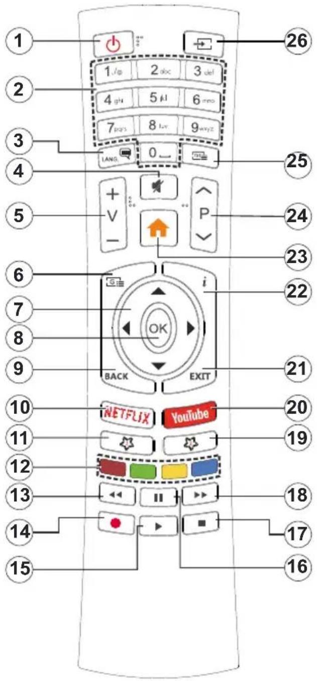 OCEANIC OCEALED24S19B3 - Télécommande - 1