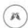 Cozzia Qi SE - INTENSITY FOCUS TECHNIQUEFOCUS AREA - 3