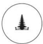 Cozzia Qi SE - Balinese - 1