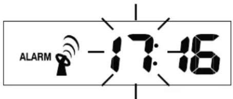 AURIOL IAN 303756 - Alarm - 1