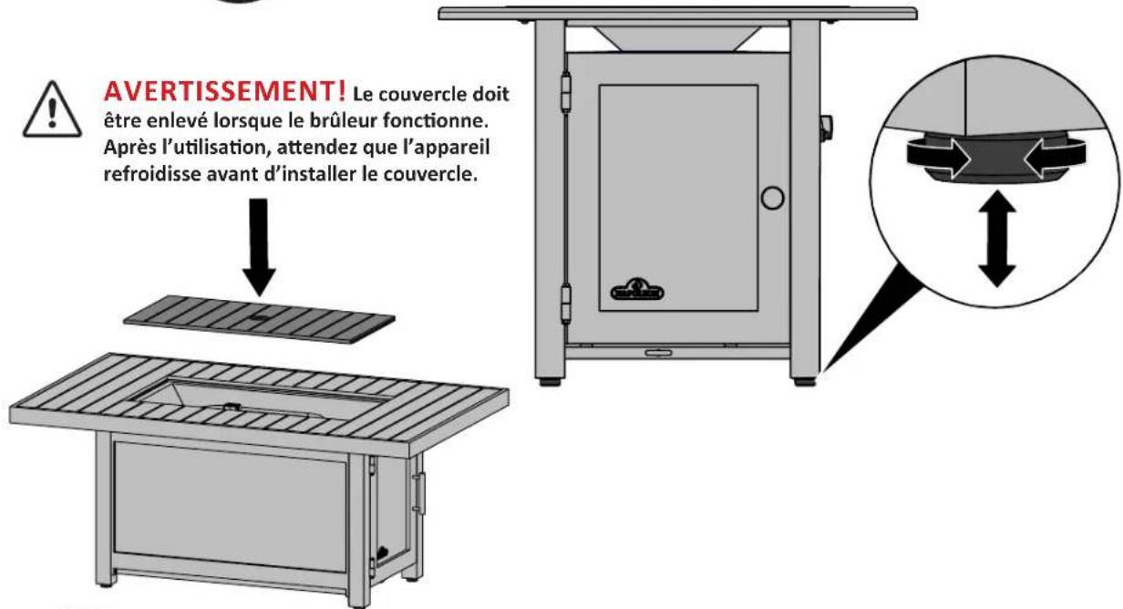 Napoleon HAMP2GY - Instruction D'allumage - 10