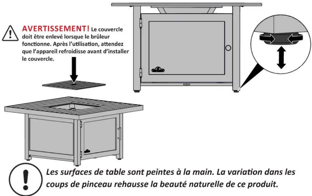Napoleon HAMP2GY - Instruction D'allumage - 22
