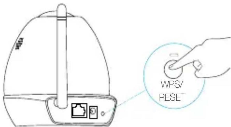 TP-LINK NC450 - Come usare il tasto WPS/RESET - 1