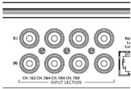 JL Audio XD8008v2 - SECTION D'ENTREE - 1