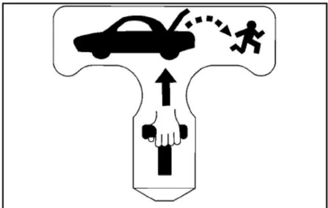 CADILLAC STS (2010) - Poignéededéverrouillaged'urgencedu coffre - 1