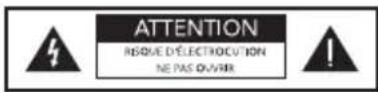 DEFINITIVE TECHNOLOGY Demand Series D9 - PRÉCAUTIONS DE SÉCURITÉ - 1