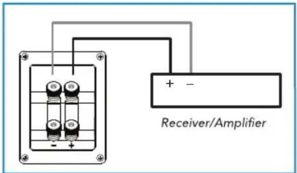 DEFINITIVE TECHNOLOGY Demand Series D11 - Connecting Your Loudspeakers - 5