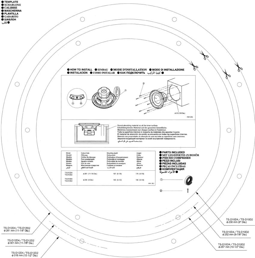 PIONEER TSD10D2 - PPRECALZIONE - 1