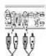 PIONEER GMDX975 - Males - 1