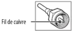 LG 55NANO90UNA - Antenne/câble - 1