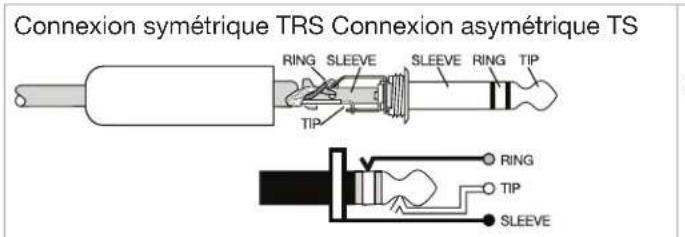 BOSE F1 Subwoofer - Câblage du connecteur d'entrée/sortie - 1